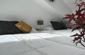 Apartamentos Suites Olmedo - Foto 35