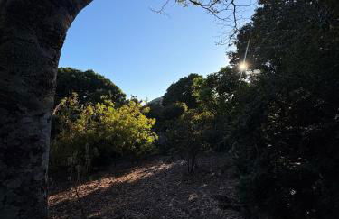 Casa de roça - Foto 42