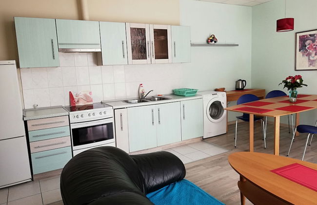 Klaipeda-Apartments - Photo 44