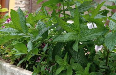 Arena Tu Apartamento en Llanes - Foto 41