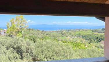 Villa degli Ulivi - Photo 3