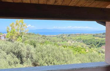 Villa degli Ulivi - Photo 3