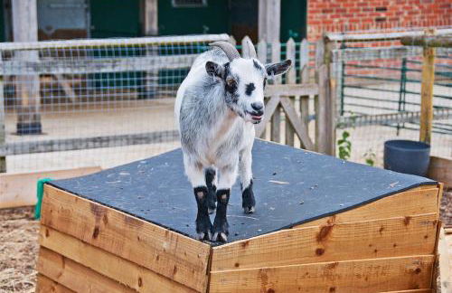 Northlands Farm King Ensuite - Photo 18