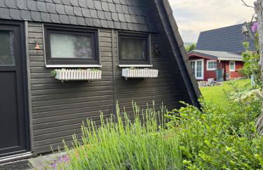 Sauerland Schwalbenhaus in Frenkhausen - Foto 15