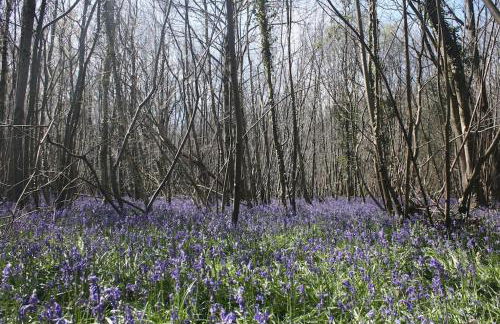 The Hen House - Photo 36