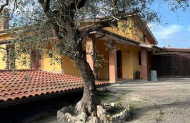 Casa Butterfly Formello - Foto 22