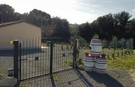 Podere la Fonte Vernaccia & Zafferano - Foto 42