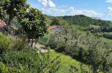 Appartamento Il Nespolo - Photo 16