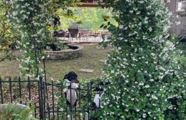 Cajun-Get Away - Foto 12