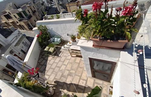 Antico Gelso - Foto 35