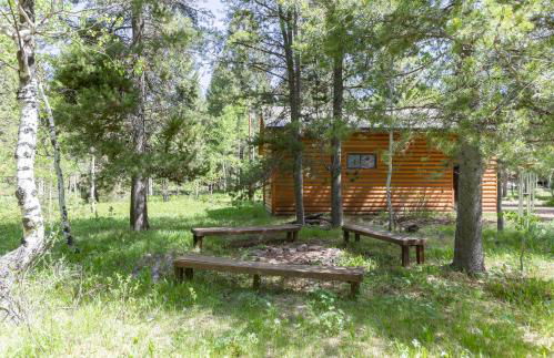 Remington Reload by KABINO Hot Tub FirePit Roku Big Yard Driveway Grill WiFi Trails - Foto 9