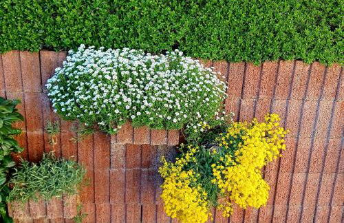 Ferienwohnung David - Foto 64