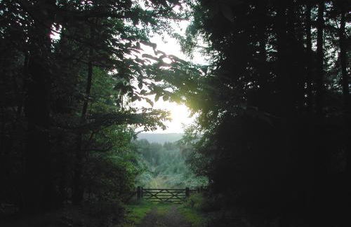 Silhouette Cottage - Foto 31