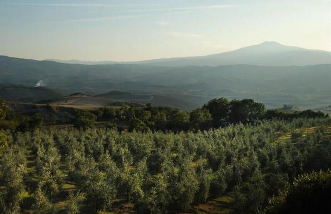 Verdidea - Vallocchie - Foto 55