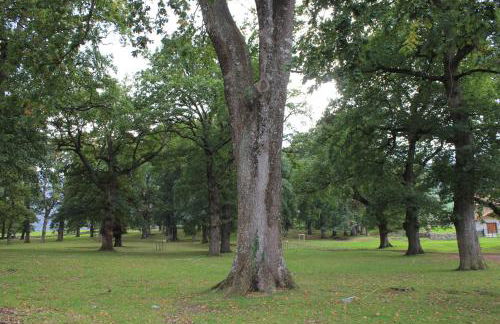 Balcón de la Len - Foto 41