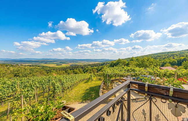 Vineyard Homestead Vrtin - Foto 36