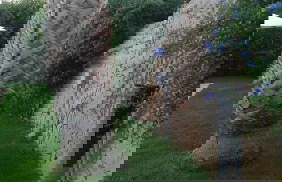 Villa Relax - Foto 20