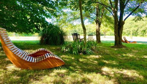 Domaine De La Licorne - Foto 3