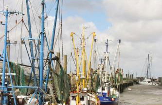 FeWo Glöckchen - Hell, Garten und Terrasse in ruhiger Lage - Foto 17