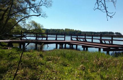 Agroturystyka Sominy - Foto 43