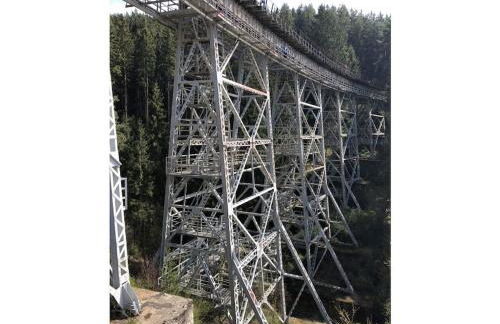 Drachenschwanz am Thuringian Sea - Foto 18