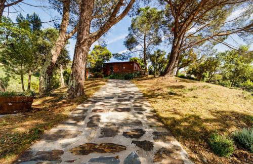 Arrabia Bunga Payva - Foto 3