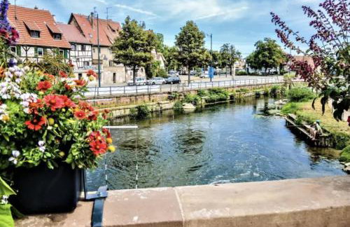 L'étoile de Châtenois - Foto 15