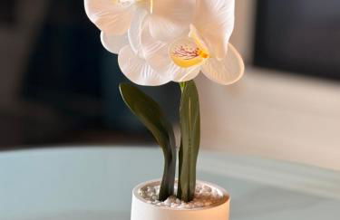 Meublés de Charme Romantique en Touraine - Foto 8