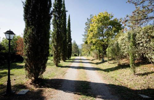 Fattoria Sant'Andrea - Farm Stay - Foto 76