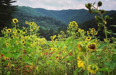 Lux Family Friendly Mountain Home - Foto 38