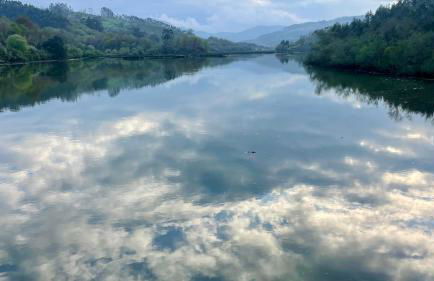 Marismas de Cantabria cerca de Laredo - Foto 46