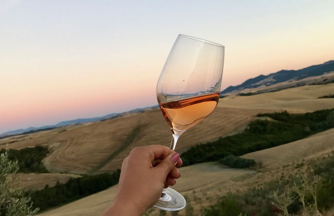 Agriturismo Podere Diacceroni - Foto 51