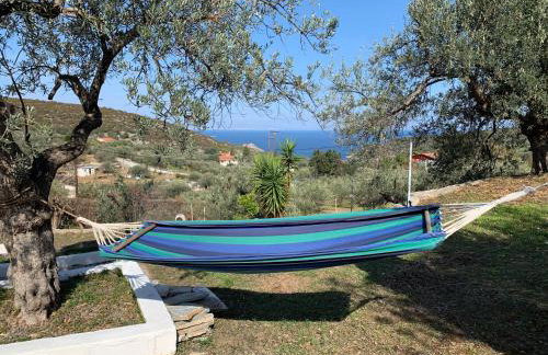 Olive Hill Private House - Foto 55