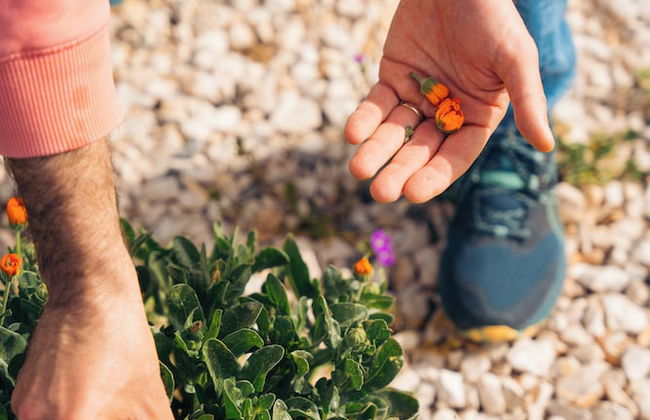 Milea Agritourism - Foto 72