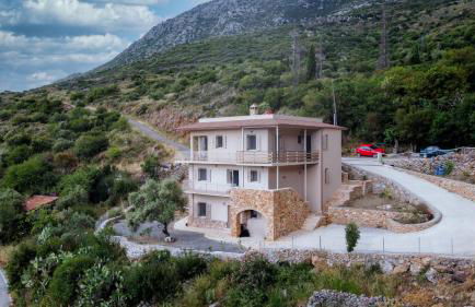 Tutti Fruti - Foto 1