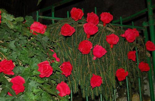 holiday on the island - Foto 45