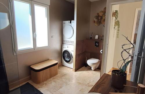 Proche châteaux de la Loire zoo Beauval gite de sologne 3 étoiles - Photo 14