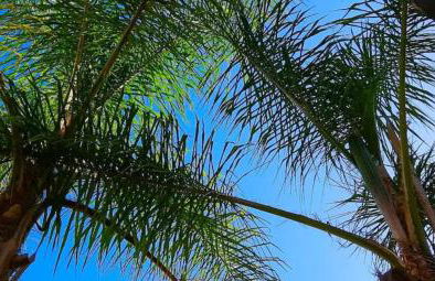 Lisbon South Bank Charming Pool Duplex & Garden BBK - Foto 50