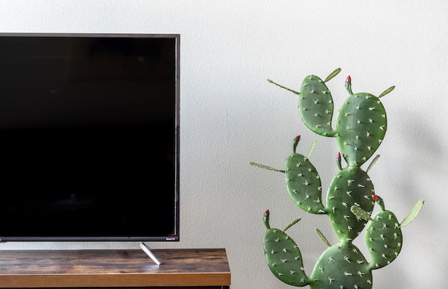 Kasa Greenville Dallas - Photo 44