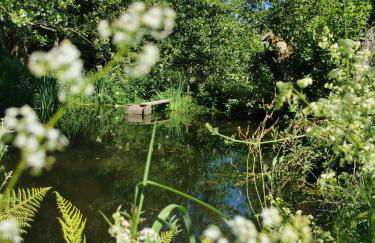 60qm Erdgeschoss Alte Bäckerei - Foto 1
