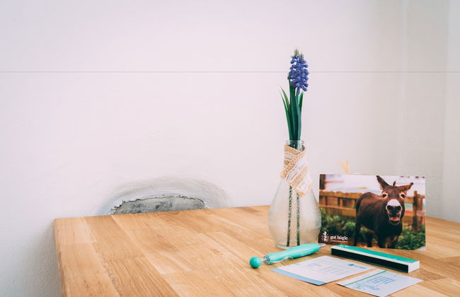 Amtshaus Gut Hügle Boutique Apartments - Foto 27