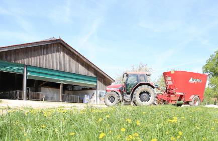 Hollweck´s Landoase - Foto 34