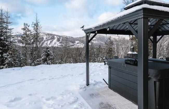 Le Sherpa -spa Billard et acc s au lac - Foto 45