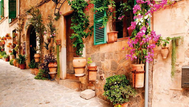 Tour por la isla: Sóller en tren de madera, tranvía al puerto de Sóller, Sa Calobra en barco - Foto 2