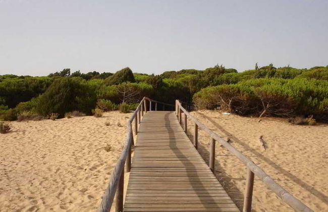 Leo Deluxe Punta Umbria - Foto 72