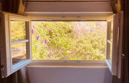 Wellness House Oliva with heated salt water Pool, Sauna & Jakuzzi - Foto 55