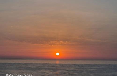 Green Oasis - Foto 19