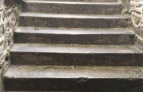 les mouettes - Foto 22