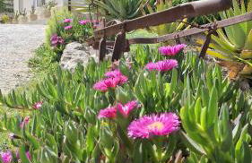 Manfredomus - Foto 110