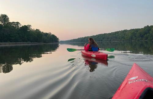 Mary's Place - Studio surrounded by nature but close to High Point - Photo 32